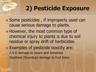 2) Pesticide Exposure
Some pesticides , if improperly used can
cause serious damage to plants.
 However, the most common ...