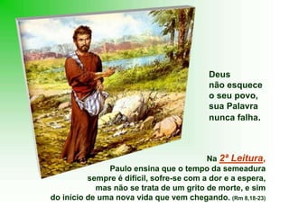 Na 2ª Leitura,
Paulo ensina que o tempo da semeadura
sempre é difícil, sofre-se com a dor e a espera,
mas não se trata de um grito de morte, e sim
do início de uma nova vida que vem chegando. (Rm 8,18-23)
Deus
não esquece
o seu povo,
sua Palavra
nunca falha.
 