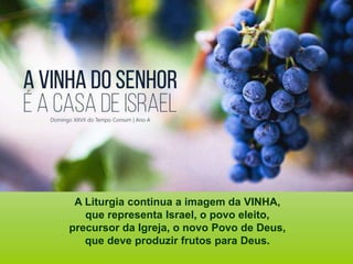 A Liturgia continua a imagem da VINHA,
que representa Israel, o povo eleito,
precursor da Igreja, o novo Povo de Deus,
que deve produzir frutos para Deus.
 