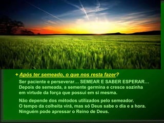 + Após ter semeado, o que nos resta fazer?
Ser paciente e perseverar… SEMEAR E SABER ESPERAR…
Depois de semeada, a semente germina e cresce sozinha
em virtude da força que possui em si mesma.
Não depende dos métodos utilizados pelo semeador.
O tempo da colheita virá, mas só Deus sabe o dia e a hora.
Ninguém pode apressar o Reino de Deus.
 
