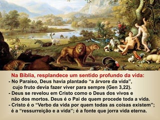 Na Bíblia, resplandece um sentido profundo da vida:
- No Paraíso, Deus havia plantado “a árvore da vida”,
cujo fruto devia fazer viver para sempre (Gen 3,22).
- Deus se revelou em Cristo como o Deus dos vivos e
não dos mortos. Deus é o Pai de quem procede toda a vida.
- Cristo é o “Verbo da vida por quem todas as coisas existem”;
é a “ressurreição e a vida”; é a fonte que jorra vida eterna.
 