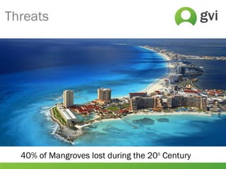 Threats
40% of Mangroves lost during the 20th
Century
 