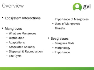 Overview
• Ecosystem Interactions
• Mangroves
– What are Mangroves
– Distribution
– Adaptations
– Associated Animals
– Dispersal & Reproduction
– Life Cycle
– Importance of Mangroves
– Uses of Mangroves
– Threats
• Seagrasses
– Seagrass Beds
– Morphology
– Importance
 
