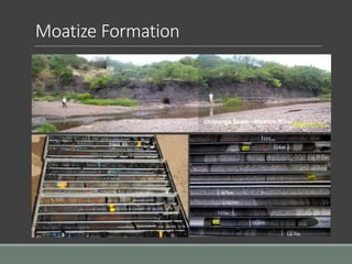 Moatize Formation
 