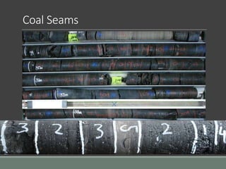 Coal Seams
 