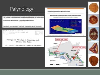 Palynology
 