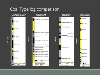 MUCANHA-VÚZI SANÂNGOÈ MOATIZE
~340m
~200m
~75m(?)
Metangula
~340m
Coal Type log comparison
 