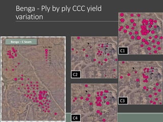 Benga - Ply by ply CCC yield
variation
C1
C4
C3
C2
Benga – C Seam
 