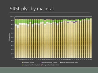 945L plys by maceral
0.0
10.0
20.0
30.0
40.0
50.0
60.0
70.0
80.0
90.0
100.0
C1 C2 C3 C4 D1 D2 D3 D4 D5 E1 E2 E3 E4 F0 F1 G1 G2 G3 H1 H2 I L M1 M2 M3 N1 N2 O P Q S1 S2 S3 S4 V1 V2 V3
%Composition
Average of Vitrinite Average of Exinite_Liptinite Average of Semifusinite_React
Average of Semifusinite_Inert Average of Fusinite_Secretinite
 