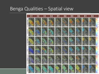 Benga Qualities – Spatial view
 