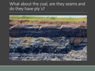 What about the coal, are they seams and
do they have ply´s?
 