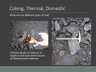 Coking, Thermal, Domestic
What are the different types of coal?
Vitrinite bands in mixtures of
bright to dull coals within bands
of siltstone and mudstone.
 