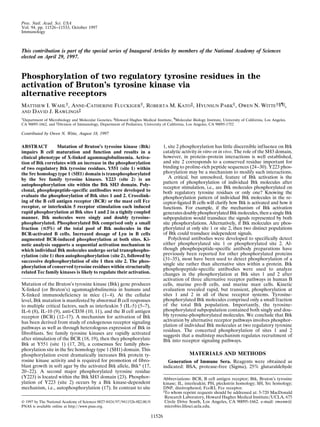 Proc. Natl. Acad. Sci. USA
Vol. 94, pp. 11526–11533, October 1997
Immunology
This contribution is part of the special series of Inaugural Articles by members of the National Academy of Sciences
elected on April 29, 1997.
Phosphorylation of two regulatory tyrosine residues in the
activation of Bruton’s tyrosine kinase via
alternative receptors
MATTHEW I. WAHL†, ANNE-CATHERINE FLUCKIGER†, ROBERTA M. KATO‡, HYUNSUN PARK†, OWEN N. WITTE†§¶i,
AND DAVID J. RAWLINGS‡
†Department of Microbiology and Molecular Genetics, §Howard Hughes Medical Institute, ¶Molecular Biology Institute, University of California, Los Angeles,
CA 90095-1662, and ‡Division of Immunology, Department of Pediatrics, University of California, Los Angeles, CA 90095-1752
Contributed by Owen N. Witte, August 18, 1997
ABSTRACT Mutation of Bruton’s tyrosine kinase (Btk)
impairs B cell maturation and function and results in a
clinical phenotype of X-linked agammaglobulinemia. Activa-
tion of Btk correlates with an increase in the phosphorylation
of two regulatory Btk tyrosine residues. Y551 (site 1) within
the Src homology type 1 (SH1) domain is transphosphorylated
by the Src family tyrosine kinases. Y223 (site 2) is an
autophosphorylation site within the Btk SH3 domain. Poly-
clonal, phosphopeptide-specific antibodies were developed to
evaluate the phosphorylation of Btk sites 1 and 2. Crosslink-
ing of the B cell antigen receptor (BCR) or the mast cell Fc´
receptor, or interleukin 5 receptor stimulation each induced
rapid phosphorylation at Btk sites 1 and 2 in a tightly coupled
manner. Btk molecules were singly and doubly tyrosine-
phosphorylated. Phosphorylated Btk comprised only a small
fraction (<5%) of the total pool of Btk molecules in the
BCR-activated B cells. Increased dosage of Lyn in B cells
augmented BCR-induced phosphorylation at both sites. Ki-
netic analysis supports a sequential activation mechanism in
which individual Btk molecules undergo serial transphospho-
rylation (site 1) then autophosphorylation (site 2), followed by
successive dephosphorylation of site 1 then site 2. The phos-
phorylation of conserved tyrosine residues within structurally
related Tec family kinases is likely to regulate their activation.
Mutation of the Bruton’s tyrosine kinase (Btk) gene produces
X-linked (or Bruton’s) agammaglobulinemia in humans and
X-linked immunodeficiency in mice (1–4). At the cellular
level, Btk mutation is manifested by abnormal B cell responses
to multiple critical factors, such as interleukin 5 (IL-5) (5–7),
IL-6 (8), IL-10 (9), anti-CD38 (10, 11), and the B cell antigen
receptor (BCR) (12–17). A mechanism for activation of Btk
has been derived from study of endogenous receptor signaling
pathways as well as through heterologous expression of Btk in
fibroblasts. Src family tyrosine kinases are rapidly activated
after stimulation of the BCR (18, 19), then they phosphorylate
Btk at Y551 (site 1) (17, 20), a consensus Src family phos-
phorylation site in the Src homology type 1 (SH1) domain. This
phosphorylation event dramatically increases Btk protein ty-
rosine kinase activity and is required for promotion of fibro-
blast growth in soft agar by the activated Btk allele, Btk* (17,
20–22). A second major phosphorylated tyrosine residue
(Y223) is located within the Btk SH3 domain (23). Phosphor-
ylation of Y223 (site 2) occurs by a Btk kinase-dependent
mechanism, i.e., autophosphorylation (17). In contrast to site
1, site 2 phosphorylation has little discernible influence on Btk
catalytic activity in vitro or in vivo. The role of the SH3 domain,
however, in protein–protein interactions is well established,
and site 2 corresponds to a conserved residue important for
binding to proline-rich peptide sequences (24–30). Y223 phos-
phorylation may be a mechanism to modify such interactions.
A critical, but unresolved, feature of Btk activation is the
pattern of phosphorylation of individual Btk molecules after
receptor stimulation, i.e., are Btk molecules phosphorylated on
both regulatory tyrosine residues or only one? Knowing the
phosphorylation pattern of individual Btk molecules in the re-
ceptor-ligated B cells will clarify how Btk is activated and how it
functions. For example, if the mechanism of Btk activation
generates doubly phosphorylated Btk molecules, then a single Btk
subpopulation would transduce the signals represented by both
site phosphorylations. Alternatively, if Btk molecules are phos-
phorylated at only site 1 or site 2, then two distinct populations
of Btk could transduce independent signals.
Polyclonal antibodies were developed to specifically detect
either phosphorylated site 1 or phosphorylated site 2. Al-
though phosphopeptide-specific antibody preparations have
previously been reported for other phosphorylated proteins
(31–35), most have been used to detect phosphorylation of a
single site rather than alternative sites within a protein. Btk
phosphopeptide-specific antibodies were used to analyze
changes in the phosphorylation at Btk sites 1 and 2 after
activation of three alternative receptor pathways in human B
cells, murine pro-B cells, and murine mast cells. Kinetic
evaluation revealed rapid, but transient, phosphorylation at
sites 1 and 2 in all of these receptor systems. Tyrosine-
phosphorylated Btk molecules comprised only a small fraction
of the total Btk population. Importantly, the tyrosine-
phosphorylated subpopulation contained both singly and dou-
bly tyrosine-phosphorylated molecules. We conclude that Btk
activation by alternative receptor pathways involves phosphor-
ylation of individual Btk molecules at two regulatory tyrosine
residues. The concerted phosphorylation of sites 1 and 2
suggests that a multistep mechanism regulates recruitment of
Btk into receptor signaling pathways.
MATERIALS AND METHODS
Generation of Immune Sera. Reagents were obtained as
indicated: BSA, protease-free (Sigma), 25% glutaraldehyde
© 1997 by The National Academy of Sciences 0027-8424y97y9411526-8$2.00y0
PNAS is available online at http:yywww.pnas.org.
Abbreviations: BCR, B cell antigen receptor; Btk, Bruton’s tyrosine
kinase; IL, interleukin; PH, pleckstrin homology; SH, Src homology;
DNP, dinitrophenol; Fc´RI, Fc´ receptor.
i
To whom reprint requests should be addressed at: 5-720 MacDonald
Research Laboratory, Howard Hughes Medical InstituteyUCLA, 675
Circle Drive South, Los Angeles, CA 90095-1662. e-mail: owenw@
microbio.lifesci.ucla.edu.
11526
 