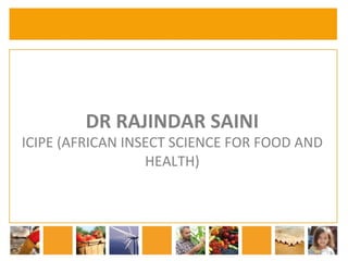 DR 
RAJINDAR 
SAINI 
ICIPE 
(AFRICAN 
INSECT 
SCIENCE 
FOR 
FOOD 
AND 
HEALTH) 
 