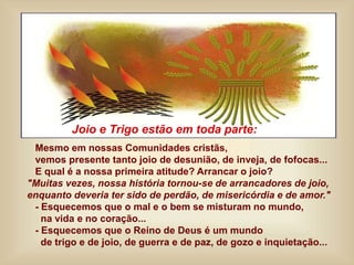 Mesmo em nossas Comunidades cristãs,
vemos presente tanto joio de desunião, de inveja, de fofocas...
E qual é a nossa primeira atitude? Arrancar o joio?
"Muitas vezes, nossa história tornou-se de arrancadores de joio,
enquanto deveria ter sido de perdão, de misericórdia e de amor."
- Esquecemos que o mal e o bem se misturam no mundo,
na vida e no coração...
- Esquecemos que o Reino de Deus é um mundo
de trigo e de joio, de guerra e de paz, de gozo e inquietação...
Joio e Trigo estão em toda parte:
 