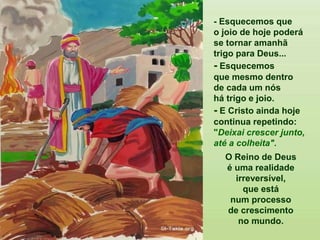 - Esquecemos que
o joio de hoje poderá
se tornar amanhã
trigo para Deus...
- Esquecemos
que mesmo dentro
de cada um nós
há trigo e joio.
- E Cristo ainda hoje
continua repetindo:
"Deixai crescer junto,
até a colheita".
O Reino de Deus
é uma realidade
irreversível,
que está
num processo
de crescimento
no mundo.
 