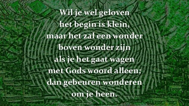 Het wordt een droom van een boom