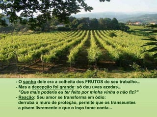 - O sonho dele era a colheita dos FRUTOS do seu trabalho...
- Mas a decepção foi grande: só deu uvas azedas...
"Que mais poderia eu ter feito por minha vinha e não fiz?"
- Reação: Seu amor se transforma em ódio:
derruba o muro de proteção, permite que os transeuntes
a pisem livremente e que o inço tome conta...
 