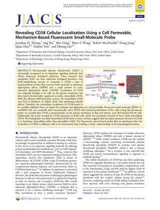 Revealing CD38 Cellular Localization Using a Cell Permeable,
Mechanism-Based Fluorescent Small-Molecule Probe
Jonathan H. Shrimp,†
Jing Hu,†
Min Dong,†
Brian S. Wang,†
Robert MacDonald,‡
Hong Jiang,†
Quan Hao,§,‡
Andrew Yen,‡
and Hening Lin*,†
†
Department of Chemistry and Chemical Biology, Cornell University, Ithaca, New York 14853, United States
‡
Department of Biomedical Sciences, Cornell University, Ithaca, New York 14853, United States
§
Department of Physiology, University of Hong Kong, Hong Kong, China
*S Supporting Information
ABSTRACT: Nicotinamide adenine dinucleotide (NAD) is
increasingly recognized as an important signaling molecule that
aﬀects numerous biological pathways. Thus, enzymes that
metabolize NAD can have important biological functions. One
NAD-metabolizing enzyme in mammals is CD38, a type II
transmembrane protein that converts NAD primarily to adenosine
diphosphate ribose (ADPR) and a small amount of cyclic
adenosine diphosphate ribose (cADPR). Localization of CD38
was originally thought to be only on the plasma membrane, but
later reports showed either signiﬁcant or solely, intracellular CD38.
With the eﬃcient NAD-hydrolysis activity, the intracellular CD38
may lead to depletion of cellular NAD, thus producing harmful
eﬀects. Therefore, the intracellular localization of CD38 needs to
be carefully validated. Here, we report the synthesis and application of a cell permeable, ﬂuorescent small molecule (SR101−F-
araNMN) that can covalently label enzymatically active CD38 with minimal perturbation of live cells. Using this ﬂuorescent
probe, we revealed that CD38 is predominately on the plasma membrane of Raji and retinoic acid (RA)-treated HL-60 cells.
Additionally, the probe revealed no CD38 expression in K562 cells, which was previously reported to have solely intracellular
CD38. The ﬁnding that very little intracellular CD38 exists in these cell lines suggests that the major enzymatic function of CD38
is to hydrolyze extracellular rather than intracellular NAD. The ﬂuorescent activity-based probes that we developed allow the
localization of CD38 in diﬀerent cells to be determined, thus enabling a better understanding of the physiological function.
■ INTRODUCTION
Nicotinamide adenine dinucleotide (NAD) is an important
cofactor used in many metabolic reactions. Recently, it has been
increasingly recognized that, in addition to serving as a cofactor,
it also serves as an important signaling molecule by eﬀecting
protein posttranslational modiﬁcations, such as NAD-depend-
ent deacylation and ADP-ribosylation.1,2
Thus, enzymes that
metabolize NAD can have important biological functions. One
mammalian enzyme that metabolizes NAD is cluster of
diﬀerentiation 38 (CD38). CD38, a type II membrane protein,
has important physiological functions, demonstrated by the
compromised immune response and social memory defect in
CD38 knockout mice.3,4
In addition, its expression is associated
with a poor prognosis in chronic lymphocytic leukemia.5
However, the molecular mechanism underlying its physiological
functions is still not well understood. It is reported to function
as both an enzyme and a receptor. CD38 has 69% overall
homology to an Aplysia cyclase, which converts NAD to cyclic
adenosine diphosphate-ribose (cADPR), a molecule that is
reported to be a calcium mobilizing messenger.6
CD38 was
thus considered to have a similar enzymatic function.6
However, CD38 catalyzes the formation of mainly adenosine
diphosphate ribose (ADPR) and only a minute amount of
cADPR.7−10
Under certain conditions, CD38 can also catalyze
a base-exchange reaction converting nicotinamide adenine
dinucleotide phosphate (NADP) to nicotinic acid adenine
dinucleotide phosphate (NAADP), which is also a calcium
mobilizing messenger.11
As a receptor, it was reported that
CD38 can initiate transmembrane signaling in response to
antibody binding.12
The cellular localization of CD38 has also been perplexing.
CD38 was originally identiﬁed as a cell surface protein, but was
later reported to be present in intracellular compartments, such
as the mitochondria, Golgi, and ER, with the highest levels of
expression in the nuclear membranes.13−20
In addition, a recent
report suggested the existence of type III CD38 on the plasma
membrane with the catalytic domain facing the cytosol.21
However, conﬂicting results on CD38 cellular localization have
been reported, with some showing only plasma membrane
Received: October 29, 2013
Published: March 24, 2014
Article
pubs.acs.org/JACS
© 2014 American Chemical Society 5656 dx.doi.org/10.1021/ja411046j | J. Am. Chem. Soc. 2014, 136, 5656−5663
This is an open access article published under an ACS AuthorChoice License, which permits
copying and redistribution of the article or any adaptations for non-commercial purposes.
 