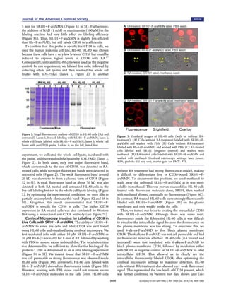 5 min for SR101−F-araNMN (Figure S1 in SI). Furthermore,
the addition of NAD (1 mM) or nicotinamide (100 μM) to the
labeli...