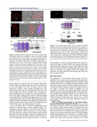when methanol was used to wash oﬀ the probe (Figure 6B).
Similar results were obtained when we used PFA and methanol
to tr...