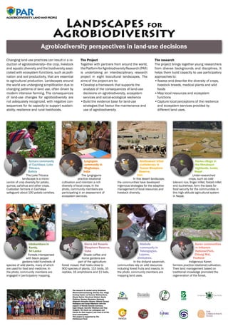 PARAGROBIODIVERSITY,LANDANDPEOPLE
PARAGROBIODIVERSITY,LANDANDPEOPLE
AGROBIODIVERSITY
LAND AND PEOPLE
Agrobiodiversity perspectives in land-use decisions
Landscapes for
Agrobiodiversity
Aymara community
of Cachilaya, Lake
Titicaca,
Bolivia
The Lake Titicaca
landscape is a micro-
centre of crop diversity for potato,
quinoa, cañahua and other crops.
Custodian farmers in Cachilaya
safeguard about 100 potato varieties.
Hanku village in
the Himalayan
highlands, Jumla,
Nepal
Under-researched
crops, such as cold-
tolerant rice, finger millet, foxtail millet
and buckwheat, form the basis for
food security for the communities in
this high altitude agricultural system
in Nepal.
Lyngngam
community in
Meghalaya,
India
The Lyngngams
practice rotational
cultivation and maintain a rich
diversity of local crops. In the
photo, community members are
participating in an assessment of
ecosystem services.
Abolhassani tribal
confederacy in
Touran Biosphere
Reserve,
Iran
In this desert landscape,
the communities have developed
ingenious strategies for the adaptive
management of local resources and
livestock diversity.
Changing land-use practices can result in a re-
duction of agrobiodiversity—the crop, livestock
and aquatic diversity and the biodiversity asso-
ciated with ecosystem functions, such as polli­
nation and soil productivity, that are essential
to agricultural production. Landscapes around
the world are undergoing simplification due to
changing patterns of land use, often driven by
modern intensive farming. The consequences
of land-use changes for agrobiodiversity are
not adequately recognized, with negative con-
sequences for its capacity to support sustain-
ability, resilience and rural livelihoods.
The research
The project brings together young researchers
from diverse backgrounds and disciplines. It
helps them build capacity to use participatory
approaches to:
•	Assess and describe the diversity of crops,
livestock breeds, medical plants and wild
foods
•	Map local resources and ecosystem
functions
•	Capture local perceptions of the resilience
and ecosystem services provided by
different land uses.
The Project
Together with partners from around the world,
thePlatformforAgrobiodiversityResearch(PAR)
is undertaking an interdisciplinary research
project in eight biocultural landscapes. The
aims of the project are to:
•	Develop a framework that supports the
analysis of the consequences of land-use
decisions on agrobiodiversity, ecosystem
services and social-ecological resilience
•	Build the evidence base for land-use
strategies that favour the maintenance and
use of agrobiodiversity.
The research is carried out by Sonthana
Maneerattanachaiyong, Stanley Zira, Helga
Gruberg Cazón, Lal Kumara Wakkumbure,
Maede Salimi, Ghanimat Azhdari, Epsha
Palikhey, Reuben Mendakor Shabong,
Alejandro González Álvarez, Alberto Tarraza
Rodríguez and Dunja Mijatovic; with the
support of Natalia Estrada Carmona,
Sajal Sthapit, Gennifer Meldrum and Toby
Hodgkin. We thank our colleagues and
friends for their support, and most of all the
local communities.
This project is supported by The
Christensen Fund.
Fundación Gaia Pacha
Visit to San Din Daeng by the research team, Thailand.
Karen communities
in Inthanon
National Park,
Chiang Mai,
Thailand
Indigenous Karen
farmers practice rotational cultivation.
Their land management based on
traditional knowledge promoted the
regeneration of the forest.
Udakumbura in
Kandy,
Sri Lanka
Forests interspersed
with black pepper
gardens hold hundreds of
species of wild plants, many of which
are used for food and medicine. In
the photo, community members are
engaged in participatory mapping.
Sierra del Rosario
Biosphere Reserve,
Cuba
Shade coffee and
home gardens are
part of the agriculture-
forest mosaic that hosts close to
900 species of plants, 115 birds, 35
reptiles, 16 amphibians and 11 bats.
Ndebele
community in
Tshongogwe,
Lupane,
Zimbabwe.
In the dryland savannah,
communities rely on wild resources
including forest fruits and insects. In
the photo, community members are
mapping land uses.
 