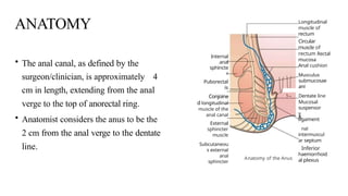 FISTULA IN ANO GENERAL SURGERY RECTAL EXAMINATION | PPTX