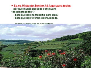+  Se na Vinha do Senhor há lugar para todos , por que muitas pessoas continuam "desempregadas"?  - Será que não há trabalho para elas?  - Será que não tiveram oportunidade,  "porque ninguém as contratou", ou se acomodaram, não querendo compromisso?  