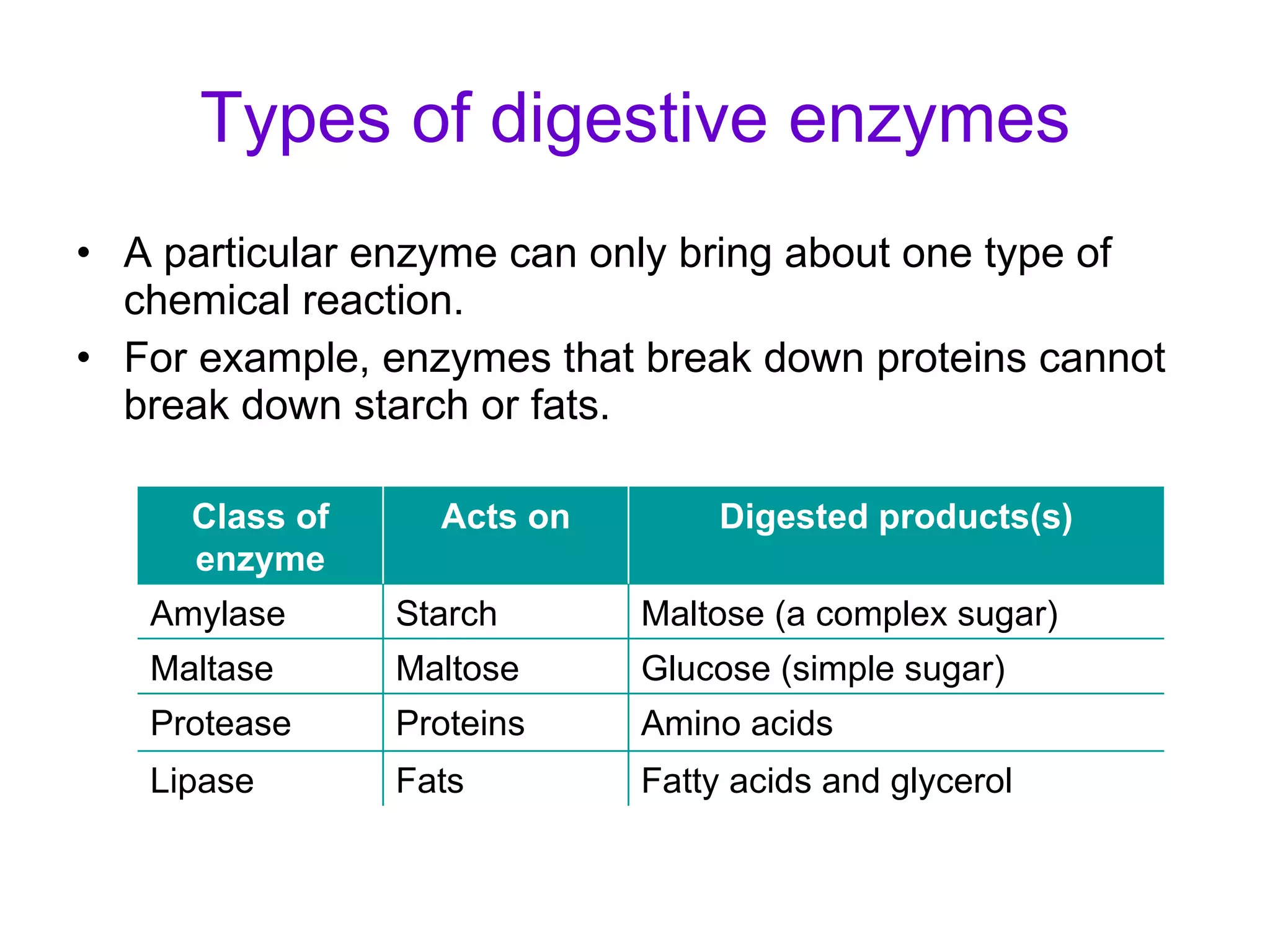 Types of digestive enzymes A particular enzyme can only bring about one type of chemical reaction. For example, enzymes that break down proteins cannot break down starch or fats. Amino acids Proteins  Protease Fatty acids and glycerol  Fats Lipase  Glucose (simple sugar) Maltose Maltase Maltose (a complex sugar) Starch Amylase Digested products(s) Acts on Class of enzyme 