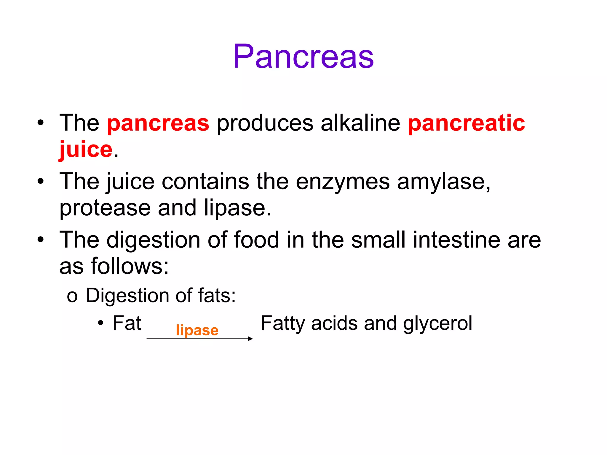 Pancreas The  pancreas  produces alkaline  pancreatic juice . The juice contains the enzymes amylase, protease and lipase. The digestion of food in the small intestine are as follows: Digestion of fats:  Fat  Fatty acids and glycerol  lipase 