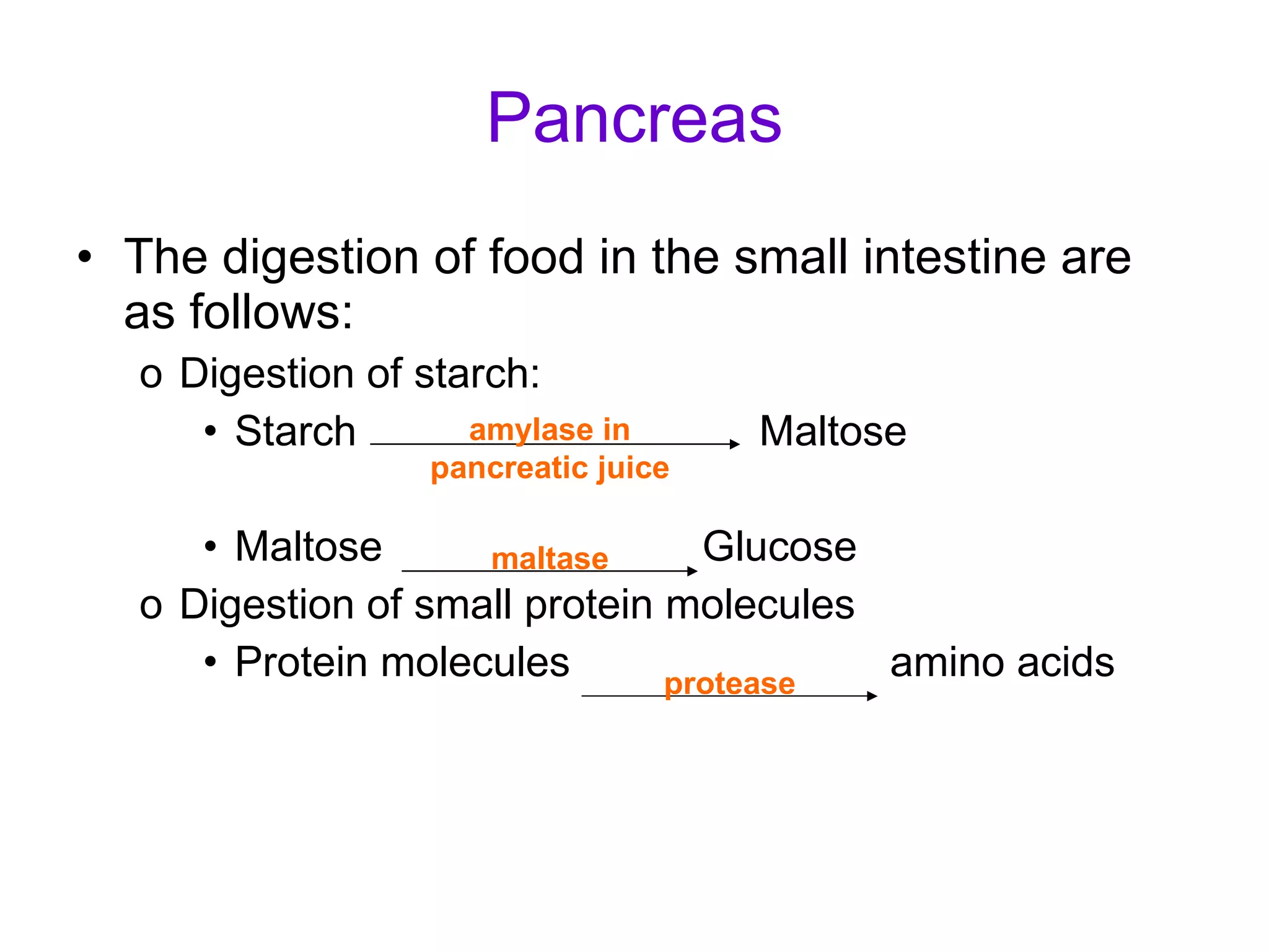 Pancreas The digestion of food in the small intestine are as follows: Digestion of starch:  Starch  Maltose Maltose  Glucose Digestion of small protein molecules Protein molecules  amino acids amylase in pancreatic juice maltase protease 
