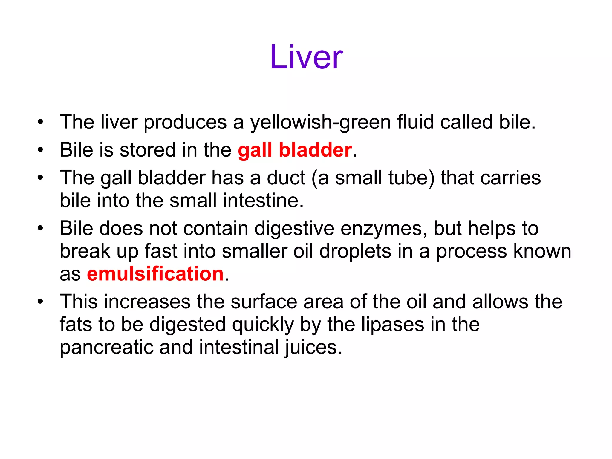 Liver The liver produces a yellowish-green fluid called bile. Bile is stored in the  gall bladder . The gall bladder has a duct (a small tube) that carries bile into the small intestine. Bile does not contain digestive enzymes, but helps to break up fast into smaller oil droplets in a process known as  emulsification . This increases the surface area of the oil and allows the fats to be digested quickly by the lipases in the pancreatic and intestinal juices. 