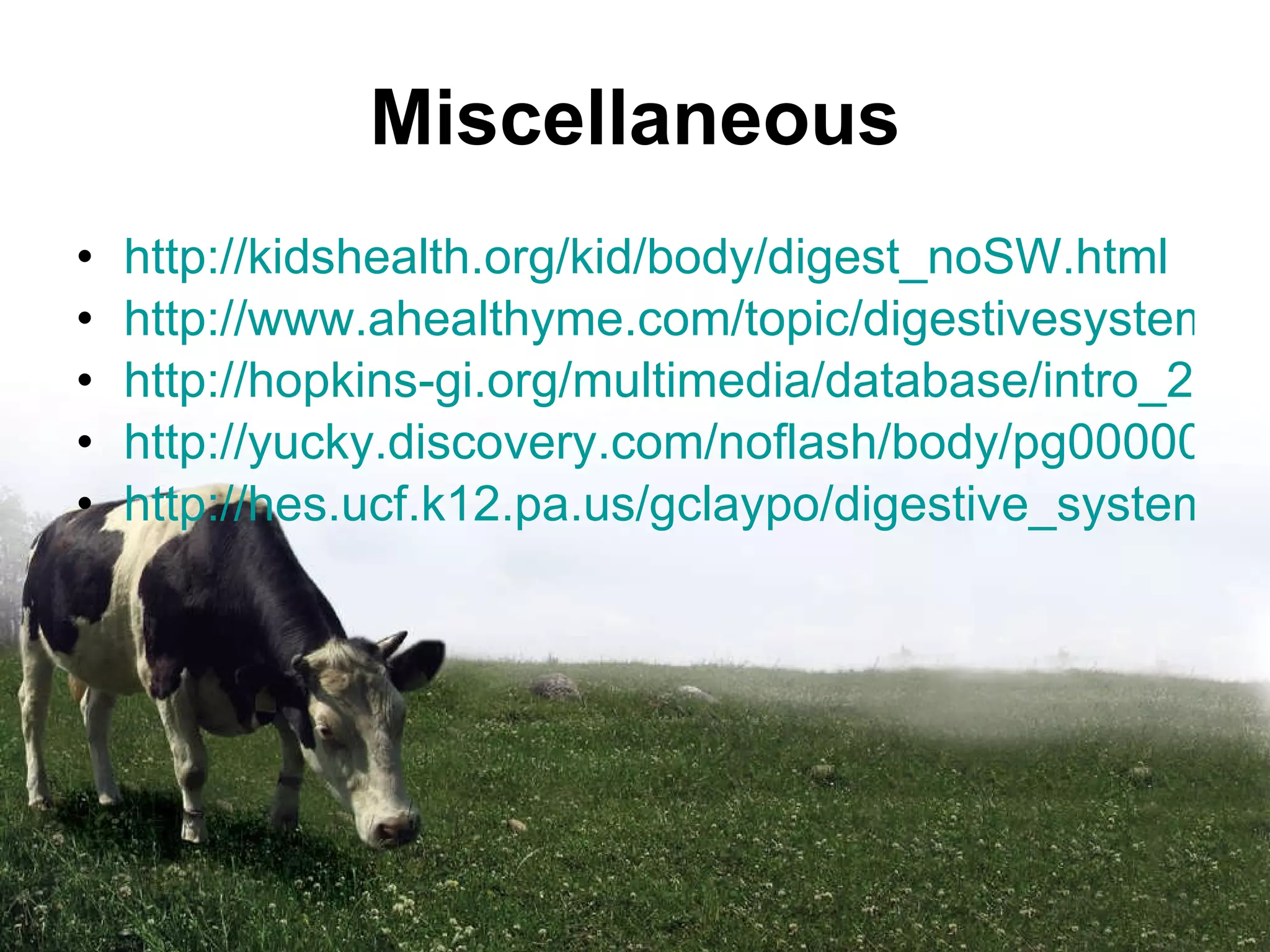 Miscellaneous http://kidshealth.org/kid/body/digest_noSW.html http://www.ahealthyme.com/topic/digestivesystem http://hopkins-gi.org/multimedia/database/intro_250_Swallow.swf http://yucky.discovery.com/noflash/body/pg000008.html http://hes.ucf.k12.pa.us/gclaypo/digestive_system.html#What%20is%20Digestion 
