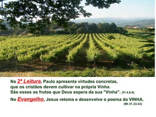 Na  2ª Leitura , Paulo apresenta virtudes concretas,  que os cristãos devem cultivar na própria Vinha. São esses os frutos que Deus espera da sua "Vinha".  (Fl 4,6-9) No  Evangelho , Jesus retoma e desenvolve o poema da VINHA.  (Mt 21,33-43) 