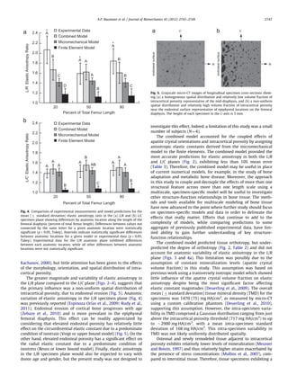 Kachanov, 2000), but little attention has been given to the effects
of the morphology, orientation, and spatial distribution of intra-
cortical porosity.
The greater magnitude and variability of elastic anisotropy in
the L/R plane compared to the L/C plane (Figs. 2–4), suggests that
the primary inﬂuence was a non-uniform spatial distribution of
intracortical porosity, due to endosteal erosion (Fig. 5). Anatomic
variation of elastic anisotropy in the L/R specimen plane (Fig. 4)
was previously reported (Espinoza Orı´as et al., 2009; Rudy et al.,
2011). Endosteal erosion of cortical bone progresses with age
(Zebaze et al., 2010) and is more prevalant in the epiphyseal
femoral diaphysis. This effect can be readily appreciated by
considering that elevated endosteal porosity has relatively little
effect on the circumferential elastic constant due to a predominate
condition of isostrain (Voigt or upper bound model) (Fig. 5). On the
other hand, elevated endosteal porosity has a signiﬁcant effect on
the radial elastic constant due to a predominate condition of
isostress (Reuss or lower bound model). Finally, elastic anisotropy
in the L/R specimen plane would also be expected to vary with
donor age and gender, but the present study was not designed to
investigate this effect. Indeed, a limitation of this study was a small
number of subjects (N¼4).
The combined model accounted for the coupled effects of
apatite crystal orientations and intracortical porosity by assigning
anisotropic elastic constants derived from the micromechanical
model to the ﬁnite elements. The combined model provided the
most accurate predictions for elastic anisotropy in both the L/R
and L/C planes (Fig. 2), exhibiting less than 10% mean error
(Table 3). Therefore, the combined model may be useful in place
of current numerical models, for example, in the study of bone
adaptation and metabolic bone disease. Moreover, the approach
in this study to couple and decouple the effects of more than one
structural feature across more than one length scale using a
multiscale, specimen-speciﬁc model will be useful to investigate
other structure-function relationships in bone tissue. The meth-
ods and tools available for multiscale modeling of bone tissue
have now advanced to the point where further study should focus
on specimen-speciﬁc models and data in order to delineate the
effects that really matter. Efforts that continue to add to the
complexity of models, while comparing predictions to some
aggregate of previously published experimental data, have lim-
ited ability to gain further understanding of key structure-
function relationships.
The combined model predicted tissue orthotropy, but under-
predicted the degree of orthotropy (Fig. 2, Table 2) and did not
account for anatomic variability of elastic anisotropy in the L/R
plane (Figs. 3 and 4a). This limitation was possibly due to the
assumption of constant mineralization levels (apatite crystal
volume fraction) in this study. This assumption was based on
previous work using a transversely isotropic model which showed
little inﬂuence of the apatite crystal volume fraction on elastic
anisotropy despite being the most signiﬁcant factor affecting
elastic constant magnitudes (Deuerling et al., 2009). The overall
mean (7standard deviation) tissue mineral density (TMD) for the
specimens was 1470 (75) mg HA/cm3
, as measured by micro-CT
using a custom calibration phantom (Deuerling et al., 2010),
supporting this assumption. However, the intra-specimen varia-
bility in TMD comprised a Gaussian distribution ranging from just
above the intracortical porosity threshold (717 mg HA/cm3
) to up
to $2900 mg HA/cm3
, with a mean intra-specimen standard
deviation of 168 mg HA/cm3
. This intra-specimen variability in
TMD was not likely uniformly distributed spatially.
Osteonal and newly remodeled tissue adjacent to intracortical
porosity exhibits relatively lower levels of mineralization (Meunier
and Boivin, 1997) and thus relatively higher strains exacerbated by
the presence of stress concentrations (Mullins et al., 2007), com-
pared to interstitial tissue. Therefore, tissue specimens exhibiting a
1.0
1.2
1.4
1.6
1.8
2.0
2.2
2.4
20 50 80
Percent of Total Femur Length
L/RElasticAnisotropyRatio
A
B
C
D
A A
A
B
A
B
B
C
* Experimental Data
Combined Model
Micromechanical Model
Finite Element Model
*
*
1.0
1.2
1.4
1.6
1.8
2.0
2.2
2.4
20 50 80
Percent of Total Femur Length
L/CElasticAnisotropyRatio
Experimental Data
Combined Model
Micromechanical Model
Finite Element Model
A
A
A
B
B
A
AB
C
A
A
A
B
Fig. 4. Comparison of experimental measurements and model predictions for the
mean (7 standard deviation) elastic anisotropy ratio in the (a) L/R and (b) L/C
specimen plane showing differences by anatomic location along the length of the
femoral diaphysis (percent of total femur length). Differences between values not
connected by the same letter for a given anatomic location were statistically
signiﬁcant (po0.05, Tukey). Asterisks indicate statistically signiﬁcant differences
between anatomic locations for a given model or experimental data (po0.05,
Tukey). Experimental data for the L/R anatomic plane exhibited differences
between each anatomic location, while all other differences between anatomic
locations were not statistically signiﬁcant.
C
R
endostealsurface
C
R
endostealsurface
Fig. 5. Grayscale micro-CT images of longitudinal specimen cross-sections show-
ing (a) a homogeneous spatial distribution and relatively low volume fraction of
intracortical porosity representative of the mid-diaphysis, and (b) a non-uniform
spatial distribution and relatively high volume fraction of intracortical porosity
near the endosteal surface representative of epiphyseal locations on the femoral
diaphysis. The height of each specimen in the C-axis is 5 mm.
A.P. Baumann et al. / Journal of Biomechanics 45 (2012) 2743–2749 2747
 