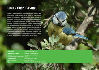 DIBEEN FOREST RESERVE
Dibeen is the southernmost natural Aleppo Pine forest in the
world. It lies in the northern part of Jordan and is a common
location for the Blue Tit, the population of which in Jordan is
believed to be separated from other populations in the region.
Around 100 bird species have been recorded in Dibeen, including
wintering passerines such as Chaffinch, Hawfinch and Brambling.
The globally threatened Greater Spotted Eagle and the Siskin can
be seen here too. Due to its proximity to Ajloun and similarities in
vegetation,manyofthesamebirdscanbeseenhere.Otherspecies
to look for include Eurasian Hobby, which breeds in the area. The
SyrianWoodpecker can often be heard calling or pecking on wood
in Dibeen, which is the best location to look for it in Jordan.
Look out for:			 SyrianWoodpecker, BlueTit.
Be one of few to record:		 Brambling, Siskin and Hawfinch.
Seasons:			Spring, summer and autumn.
Recommended time in the field:	 1/2 day.
Accommodation:			 Ajloun hotels, camps, lodge.
Other attractions:		 Roman city of Jarash.
Tips:				Combine this trip with a few days based in Ajloun.
 