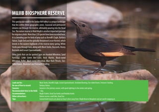MUJIB BIOSPHERE RESERVE
ThisspectacularwadiintheJordanRiftValleyisauniquelandscape
that lies within three geographic zones. Seasonal and permanent
streams run through the reserve, ultimately pouring into the Dead
Sea.ThenaturereserveinWadiMujibisanotherimportantpassage
formigratorybirds.Morethan220specieshavebeenrecordedhere.
ItisabreedingspotforbirdsofpreysuchasBonelli’sEagle,Barbary
Falcon,EagleOwlandthegloballythreatenedLesserKestrel,which
breeds in the eastern highlands of the reserve every spring.White
Storkspassthroughhere,alongwithBlackStorks,Buzzards,Honey
Buzzards and Levant Sparrowhawks.
Other birds that can be spotted here are Hooded Wheatear, Sand
Partridge, Little Green Bee-eater, Rock Martin, Black-eared
Wheatear, Roller, Black-eared Wheatear, Blue Rock Thrush, Fan-
tailed Raven, Blackstart andTristram’s Starling.
Look out for:			 Black Storks, Bonelli’s Eagle, Levant Sparrowhawk, Striolated Bunting, Fan-tailed Raven,Tristram’s Starling.
Be one of few to record:		 Barbary Falcon.
Seasons:			Autumn is the primary season, with good sightings in the winter and spring.
Recommended time in the field:	 1 day.
Accommodation:			 Mujib Chalets, Dead Sea hotels and Madaba hotels.
Other attractions:		 Nature reserve, wadi hike, Dead Sea
Tips:				Several hotel resorts are about an hour’s drive away from Mujib Reserve Biosphere and are worth stopping at.
 