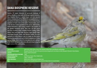 DANA BIOSPHERE RESERVE
Covering 292 square kilometers of spectacular landscape of
varying altitudes, as steep wadis cut through majestic mountains,
Dana Biosphere Reserve is Jordan’s largest and most naturally
diverse, encompassing all four different bio-geographical zones in
the country. It is believed that the largest portion of the breeding
population of Syrian Serin in the world is found in Dana, and it
is also the best studied population of the species. Unfortunately,
habitat destruction is still causing a decline in the numbers of
this globally threatened species. More than 250 bird species
have been recorded in Dana, including Tristram’s Starling, Griffon
Vulture, Short-toed Snake Eagle, Verreaux’s Eagle, Bonelli’s Eagle,
Long-legged Buzzard, Chukar, and Palestine Sunbird. The area’s
population of Griffon Vultures is part of a larger one that reaches
neighbouringcountriesandmaybelinkedtopopulationsinTurkey
and the Balkans. Dana is one of the best places to catch a glimpse
of the Hume’s Owl and its distinctive call can be heard along the
upper section of the wadi in spring.
Look out for:			 Syrian Serin, GriffonVulture, Hume’s Owl, Palestine Sunbird, Black-earedWheater andWoodlark.
Be one of few to record:		 Macqueen’s Bustard.The name of the species has been changed and is now known as either Macqueen’s Bustard or Asian Houbara.
Seasons:			Spring, summer and autumn.
Recommended time in the field:	 2 days.
Nearby birding sites:		 Sad AlTannur, Feynan, Petra, Shobak Castle.
Accommodation:			 Lodges, small hotels.
Other attractions:		 Nature reserve, hiking trails and Shobak Castle.
Tips:				Enjoy the area’s beautiful hiking trails and look for Nubian Ibex in its natural habitat.
 