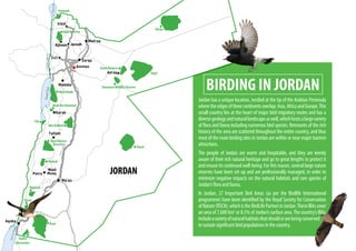 Fifa
Azraq Reserve
Ajlun Reserve
Ajloun Jarash
Wadi Mujib
Dana Nature
Reserve
Rajel
Burqu
Bayer
Abu Rukbeh
Wadi Ibn Hammad
Rahmah
Rum
Qatar
Aqaba
Mountains
Yarmouk
Shaumari Wildlife Reserve
Shobak
BIRDING IN JORDAN
Jordan has a unique location, nestled at the tip of the Arabian Peninsula
wheretheedgesofthreecontinentsoverlap:Asia,AfricaandEurope.This
small country lies at the heart of major bird migratory routes and has a
diversegeologyandnaturallandscapeaswell,whichhostsalargevariety
of flora and fauna including numerous bird species. Remnants of the rich
history of the area are scattered throughout the entire country, and thus
mostofthemainbirdingsitesinJordanarewithinornearmajortourism
attractions.
The people of Jordan are warm and hospitable, and they are keenly
aware of their rich natural heritage and go to great lengths to protect it
and ensure its continued well-being. For this reason, several large nature
reserves have been set up and are professionally managed, in order to
minimize negative impacts on the natural habitats and rare species of
Jordan’sfloraandfauna.
In Jordan, 27 Important Bird Areas (as per the Birdlife International
programme) have been identified by the Royal Society for Conservation
ofNature(RSCN),whichistheBirdLifePartnerinJordan.TheseIBAscover
an area of 7,600 km2
or 8.5% of Jordan’s surface area.The country’s IBAs
includeavarietyofnaturalhabitatsthatshouldorarebeingconserved
tosustainsignificantbirdpopulationsinthecountry.
JORDAN
 