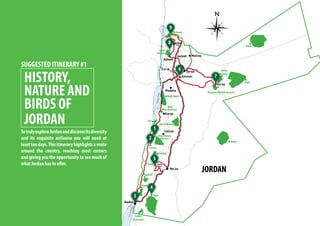 Fifa
Ajlun
Reserve
Wadi Mujib
Dana Nature
Reserve
Rajel
Burqu
Bayer
Abu Rukbeh
Wadi
Ibn Hammad
Rahmah
Rum
Qatar
Aqaba
Mountains
Yarmouk
Azraq
Reserve
Petra
1
2
Feynan
3
4
5
6
7
8
9
Ajloun
Jarash
Shaumari Wildlife Reserve
Shobak
SUGGESTED ITINERARY #1
HISTORY,
NATURE AND
BIRDS OF
JORDAN
TotrulyexploreJordananddiscoveritsdiversity
and its exquisite avifauna you will need at
least ten days.This itinerary highlights a route
around the country, reaching most corners
and giving you the opportunity to see much of
what Jordan has to offer.
JORDAN
 