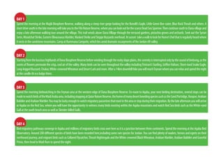 DAY 1
Spend the morning at the Mujib Biosphere Reserve, walking along a steep river gorge looking for the Bonelli’s Eagle, Little Green Bee-eater, Blue RockThrush and others. A
shortdrivesouthinthelatemorningwilltakeyoutotheFifaNatureReserve,whereyoucanlookoutforthescarceDeadSeaSparrow.ThencontinuesouthtoDanavillageand
enjoy a late afternoon walking tour around the village.This trail winds above DanaVillage through the terraced gardens, pistachio groves and orchards. Seek out the Syrian
Serin,WoodchatShrike,EasternOlivaceaousWarbler,MaskedShrikeandSteppeBuzzardsoverhead.Atsunset takeawalktolookforHume’sOwlthatisregularlyheardwhere
itnestsinthesandstonemountains.CampatRummanaCampsite,whichliesamiddramaticescarpmentsoftheJordanriftvalley.	
DAY 2
StartingfromtheluscioushighlandsofDanaBiosphereReservebeforewindingthroughtherockyslopeplains,theserenityisinterruptedonlybythesoundofbirdsong,asthe
scents of flowers permeate the crisp, cool air of the valley. Many birds can be seen throughout the valley includingTristram’s Starling, GriffonVulture, Short-toed Snake Eagle,
Long-leggedBuzzard,Chukar,White-crownedWheatearandDesertLarkandmore.Aftera14kmdownhillhikeyouwillreachFeynanwhereyoucanrelaxandspendthenight
atthecandle-litecolodgethere.
DAY 3
Spend the morning birdwatching in the Feynan area at the western edge of Dana Biosphere Reserve. En-route to Aqaba, your next birding destination, several stops can be
madetowatchbirdsoftheWadiArabaarea,includingstoppingatQatarNatureReserve,thehomeofmanydesertbreedingspeciessuchastheSandPartridge,Hoopoe,Arabian
BabblerandArabianWarbler.Youmaybeluckyenoughtowatchmigratorypasserinesthatroostintheareaorstopduringtheirmigration.Bythelateafternoonyouwillarrive
at Aqaba on the Red Sea, where you will have the opportunity to witness many birds roosting within the Aqaba mountains and watch Red Sea birds such as theWhite-eyed
GullatthesouthbeachareaaswellasSlender-billedGulls.
DAY 4
Bird migratory pathways converge in Aqaba and millions of migratory birds cross over here as it is a junction between three continents. Spend the morning at the Aqaba Bird
Observatory. Around 200 different species of birds have been recorded here,including some rare species for Jordan.You can find plenty of waders, herons and egrets on their
northwardjourney,andmigrantbirdssuchasCollaredFlycatcher,ThrushNightingaleandtheWhite-crownedBlackWheatear,ArabianWarbler,ArabianBabblerandGraceful
Prinia,thenheadtoWadiRumtospendthenight.
 