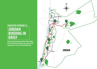 Fifa
Ajlun
Reserve
Rajel
Burqu
Bayer
Rahmah
Rum
Qatar
Aqaba
Mountains
Yarmouk
Azraq
Reserve
Petra
Wadi
Ibn Hammad
Wadi Mujib
Abu Rukbeh
Dana Nature
Reserve
1
2
3
4 5
Feynan
Ajloun
Jarash
Shaumari Wildlife Reserve
Shobak
JORDAN
SUGGESTED ITINERARY #2
JORDAN
BIRDING IN
BRIEF
IfyoucanonlymanageashortertriptoJordan,
this 5-day itinerary will give you a taste of the
country and a visit to its main birding sites.
 