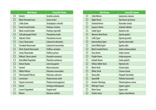 Bird Name Scientific Name
Ostrich Struthiocamelus
Black-throated Loon Gaviaarctica
Little Grebe Tachybaptusruficollis
Great Crested Grebe Podicepscristatus
Black-necked Grebe Podicepsnigricollis
Soft-plumaged Petrel Pterodromamollis
Atlantic Petrel Pterodromaincerta
Cory’s Shearwater Calonectrisdiomedea
Streaked Shearwater Calonectrisleucomelas
Flesh-footed Shearwater Puffinuscarneipes
Sooty Shearwater Puffinusgriseus
Wilson’s Storm-petrel Oceanitesoceanicus
Red-billedTropicbird Phaethonaethereus
Brown Booby Sulaleucogaster
Gannet Morusbassanus
White Pelican Pelecanusonocrotalus
Pink-backed Pelican Pelecanusrufescens
Cormorant Phalacrocoraxcarbo
Pygmy Cormorant Phalacrocoraxpygmeus
Darter Anhingamelanogaster
Lesser Frigatebird Fregataariel
Bittern Botaurusstellaris
Bird Name Scientific Name
Little Bittern Ixobrychusminutus
Night Heron Nycticoraxnycticorax
Striated Heron Butoridesstriata
Squacco Heron Ardeolaralloides
Cattle Egret Bubulcusibis
Western Reef Heron Egrettagularis
Little Egret Egrettagarzetta
Intermediate Egret Egrettaintermedia
GreatWhite Egret Egrettaalba
Black-headed Heron Ardeamelanocephala
Grey Heron Ardeacinerea
Purple Heron Ardeapurpurea
Goliath Heron Ardeagoliath
Yellow-billed Stork Mycteriaibis
Black Stork Ciconianigra
White Stork Ciconiaciconia
Glossy Ibis Plegadisfalcinellus
Spoonbill Platalealeucorodia
Greater Flamingo Phoenicopterusroseus
Whooper Swan Cygnuscygnus
Mute Swan Cygnusolor
Tundra Swan Cygnuscolumbianus
 
