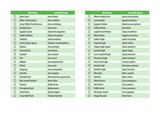 Bird Name Scientific Name
Bean Goose Anserfabalis
White-fronted Goose Anseralbifrons
LesserWhite-fronted Goose Ansererythropus
Greylag Goose Anseranser
Egyptian Goose Alopochenaegyptiaca
Ruddy Shelduck Tadornaferruginea
Shelduck Tadornatadorna
Cotton Pygmy-goose Nettapuscoromandelianus
Wigeon Anaspenelope
Falcated Duck Anasfalcata
Gadwall Anasstrepera
Teal Anascrecca
Mallard Anasplatyrhynchos
Pintail Anasacuta
Garganey Anasquerquedula
Shoveler Anasclypeata
Marbled Duck Marmaronettaangustirostris
Red-crested Pochard Nettarufina
Pochard Aythyaferina
Ferruginous Duck Aythyanyroca
Tufted Duck Aythyafuligula
Long-tailed Duck Clangulahyemalis
Bird Name Scientific Name
White-headed Duck Oxyuraleucocephala
Lammergeier Gypaetusbarbatus
EgyptianVulture Neophronpercnopterus
GriffonVulture Gypsfulvus
Lappet-facedVulture Torgostracheliotus
BlackVulture Aegypiusmonachus
Golden Eagle Aquilachrysaetos
Imperial Eagle Aquilaheliaca
Steppe Eagle Aquila Aquilanipalensis
Spotted Eagle Aquilaclanga
Lesser Spotted Eagle Aquilapomarina
Verreaux’s Eagle Aquilaverreauxii
Short-toed Eagle Circaetusgallicus
Booted Eagle Hieraaetuspennatus
Bonelli’s Eagle Aquilafasciatus
Black Kite Milvusmigrans
Red Kite Milvusmilvus
Marsh Harrier Circusaeruginosus
Hen Harrier Circuscyaneus
Pallid Harrier Circusmacrourus
Montagu’s Harrier Circuspygargus
Steppe Buzzard Buteobuteo
 