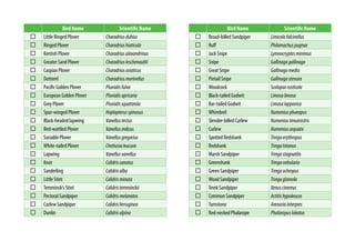 Bird Name Scientific Name
Little Ringed Plover Charadriusdubius
Ringed Plover Charadriushiaticula
Kentish Plover Charadriusalexandrinus
Greater Sand Plover Charadriusleschenaultii
Caspian Plover Charadriusasiaticus
Dotterel Charadriusmorinellus
Pacific Golden Plover Pluvialisfulva
European Golden Plover Pluvialisapricaria
Grey Plover Pluvialissquatarola
Spur-winged Plover Hoplopterusspinosus
Black-headed lapwing Vanellustectus
Red-wattled Plover Vanellusindicus
Sociable Plover Vanellusgregarius
White-tailed Plover Chettusialeucura
Lapwing Vanellusvanellus
Knot Calidriscanutus
Sanderling Calidrisalba
Little Stint Calidrisminuta
Temminck’s Stint Calidristemminckii
Pectoral Sandpiper Calidrismelanotos
Curlew Sandpiper Calidrisferruginea
Dunlin Calidrisalpina
Bird Name Scientific Name
Broad-billed Sandpiper Limicolafalcinellus
Ruff Philomachuspugnax
Jack Snipe Lymnocryptesminimus
Snipe Gallinagogallinago
Great Snipe Gallinagomedia
Pintail Snipe Gallinagostenura
Woodcock Scolopaxrusticola
Black-tailed Godwit Limosalimosa
Bar-tailed Godwit Limosalapponica
Whimbrel Numeniusphaeopus
Slender-billed Curlew Numeniustenuirostris
Curlew Numeniusarquata
Spotted Redshank Tringaerythropus
Redshank Tringatotanus
Marsh Sandpiper Tringastagnatilis
Greenshank Tringanebularia
Green Sandpiper Tringaochropus
Wood Sandpiper Tringaglareola
Terek Sandpiper Xenuscinereus
Common Sandpiper Actitishypoleucos
Turnstone Arenariainterpres
Red-necked Phalarope Phalaropuslobatus
 
