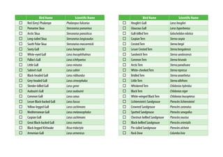 Bird Name Scientific Name
Red (Grey) Phalarope Phalaropusfulicarius
Pomarine Skua Stercorariuspomarinus
Arctic Skua Stercorariusparasiticus
Long-tailed Skua Stercorariuslongicaudus
South Polar Skua Stercorariusmaccormicki
Sooty Gull Larushemprichii
White-eyed Gull Larusleucophthalmus
Pallas’s Gull Larusichthyaetus
Little Gull Larusminutus
Sabine’s Gull Larussabini
Black-headed Gull Larusridibundus
Grey-headed Gull Laruscirrocephalus
Slender-billed Gull Larusgenei
Audouin’s Gull Larusaudouinii
Common Gull Laruscanus
Lesser Black-backed Gull Larusfuscus
Yellow-legged Gull Laruscachinnans
Mediterranean Gull Larusmelanocephalus
Caspian Gull Laruscachinnans
Great Black-backed Gull Larusmarinus
Black-legged Kittiwake Rissatridactyla
Armenian Gull Larusarmenicus
Bird Name Scientific Name
Heuglin’s Gull Larusheuglini
Glaucous Gull Larushyperboreus
Gull-billedTern Gelochelidonnilotica
CaspianTern Sternacaspia
CrestedTern Sternabergii
Lesser CrestedTern Sternabengalensis
SandwichTern Sternasandvicensis
CommonTern Sternahirundo
ArcticTern Sternaparadisaea
White-cheekedTern Sternarepressa
BridledTern Sternaanaethetus
LittleTern Sternaalbifrons
WhiskeredTern Chlidoniashybridus
BlackTern Chlidoniasniger
White-winged BlackTern Chlidoniasleucopterus
Lichtenstein’s Sandgrouse Pterocleslichtensteinii
Crowned Sandgrouse Pteroclescoronatus
Spotted Sandgrouse Pteroclessenegallus
Chestnut-bellied Sandgrouse Pteroclesexustus
Black-bellied Sandgrouse Pteroclesorientalis
Pin-tailed Sandgrouse Pteroclesalchata
Rock Dove Columbalivia
 