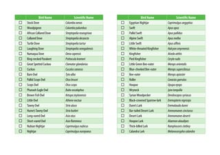 Bird Name Scientific Name
Stock Dove Columbaoenas
Woodpigeon Columbapalumbus
African Collared Dove Streptopeliaroseogrisea
Collared Dove Streptopeliadecaocto
Turtle Dove Streptopeliaturtur
Laughing Dove Streptopeliasenegalensis
Namaqua Dove Oenacapensis
Ring-necked Parakeet Psittaculakrameri
Great Spotted Cuckoo Clamatorglandarius
Cuckoo Cuculuscanorus
Barn Owl Tytoalba
Pallid Scops Owl Otusbrucei
Scops Owl Otusscops
Pharaoh Eagle Owl Buboascalaphus
Brown Fish Owl Ketupazeylonensis
Little Owl Athenenoctua
Tawny Owl Strixaluco
Hume’sTawny Owl Strixbutleri
Long-eared Owl Asiootus
Short-eared Owl Asioflammeus
Nubian Nightjar Caprimulgusnubicus
Nightjar Caprimulguseuropaeus
Bird Name Scientific Name
Egyptian Nightjar Caprimulgusaegyptius
Swift Apusapus
Pallid Swift Apuspallidus
Alpine Swift Apusmelba
Little Swift Apusaffinis
White-throated Kingfisher Halcyonsmyrnensis
Kingfisher Alcedoatthis
Pied Kingfisher Cerylerudis
Little Green Bee-eater Meropsorientalis
Blue-cheeked Bee-eater Meropssuperciliosus
Bee-eater Meropsapiaster
Roller Coraciasgarrulus
Hoopoe Upupaepops
Wryneck Jynxtorquilla
SyrianWoodpecker Dendrocopossyriacus
Black-crowned Sparrow-lark Eremopterixnigriceps
Dunn’s Lark Eremalaudadunni
Bar-tailed Desert Lark Ammomanescincturus
Desert Lark Ammomanesdeserti
Hoopoe Lark Alaemonalaudipes
Thick-billed Lark Ramphocorisclotbey
Calandra Lark Melanocoryphacalandra
 