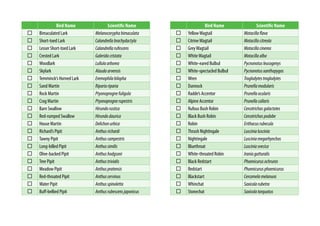 Bird Name Scientific Name
Bimaculated Lark Melanocoryphabimaculata
Short-toed Lark Calandrellabrachydactyla
Lesser Short-toed Lark Calandrellarufescens
Crested Lark Galeridacristata
Woodlark Lullulaarborea
Skylark Alaudaarvensis
Temminck’s Horned Lark Eremophilabilopha
Sand Martin Ripariariparia
Rock Martin Ptyonoprognefuligula
Crag Martin Ptyonoprognerupestris
Barn Swallow Hirundorustica
Red-rumped Swallow Hirundodaurica
House Martin Delichonurbica
Richard’s Pipit Anthusrichardi
Tawny Pipit Anthuscampestris
Long-billed Pipit Anthussimilis
Olive-backed Pipit Anthushodgsoni
Tree Pipit Anthustrivialis
Meadow Pipit Anthuspratensis
Red-throated Pipit Anthuscervinus
Water Pipit Anthusspinoletta
Buff-bellied Pipit Anthusrubescensjaponicus
Bird Name Scientific Name
YellowWagtail Motacillaflava
CitrineWagtail Motacillacitreola
GreyWagtail Motacillacinerea
WhiteWagtail Motacillaalba
White-eared Bulbul Pycnonotusleucogenys
White-spectacled Bulbul Pycnonotusxanthopygos
Wren Troglodytestroglodytes
Dunnock Prunellamodularis
Radde’s Accentor Prunellaocularis
Alpine Accentor Prunellacollaris
Rufous Bush Robin Cercotrichasgalactotes
Black Bush Robin Cercotrichaspodobe
Robin Erithacusrubecula
Thrush Nightingale Luscinialuscinia
Nightingale Lusciniamegarhynchos
Bluethroat Lusciniasvecica
White-throated Robin Iraniagutturalis
Black Redstart Phoenicurusochruros
Redstart Phoenicurusphoenicurus
Blackstart Cercomelamelanura
Whinchat Saxicolarubetra
Stonechat Saxicolatorquatus
 