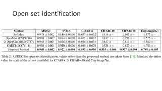 C2 ae open set recognition | PPT