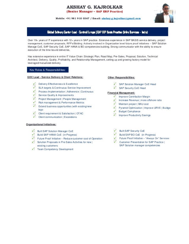 sap security resume